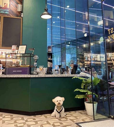 friendly Cafe .